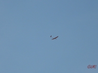 Rhoen_2011_067