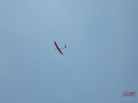 Rhoen_2011_068