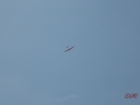 Rhoen_2011_069