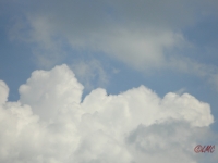 Rhoen_2011_073