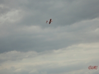 Rhoen_2011_115