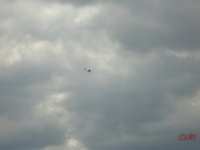 Rhoen_2011_116