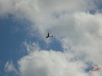 Rhoen_2011_127