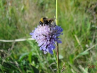 Rhoen_2011_135