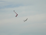 Rhoen_2011_006