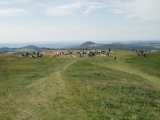Rhoen_2011_008