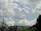 Rhoen_2011_041