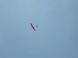 Rhoen_2011_068