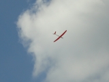Rhoen_2011_072
