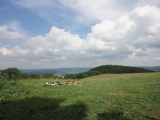Rhoen_2011_077