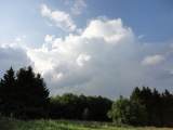 Rhoen_2011_101