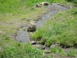 Rhoen_2011_110