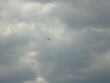 Rhoen_2011_116