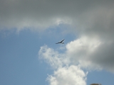 Rhoen_2011_126