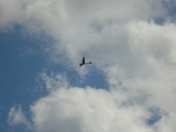 Rhoen_2011_127