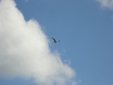 Rhoen_2011_128