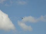 Rhoen_2011_129