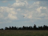 Rhoen_2011_130
