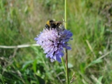 Rhoen_2011_135