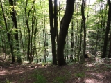 Rhoen_2011_178