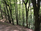 Rhoen_2011_179