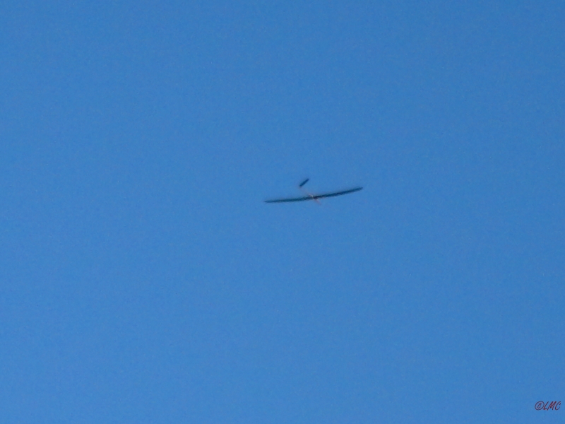 Rhoen_2012_020