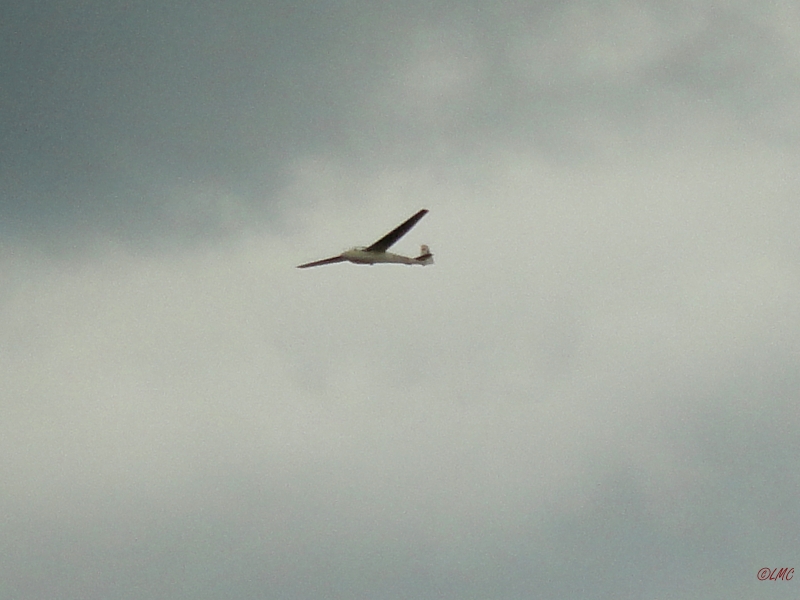 Rhoen_2012_032