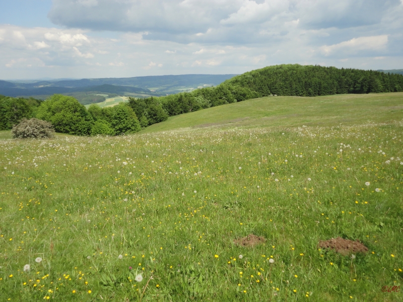 Rhoen_2012_043