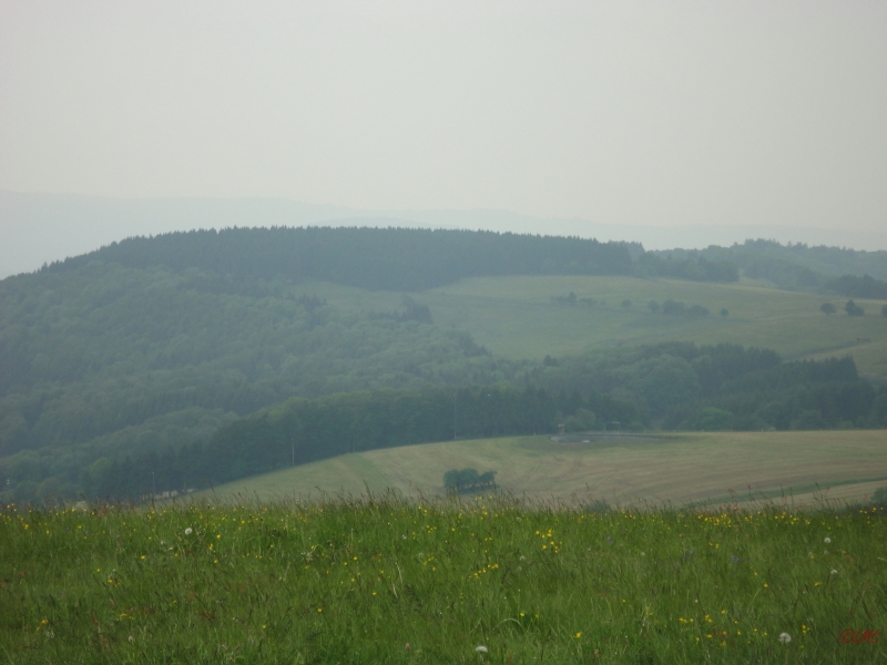 Rhoen_2012_082