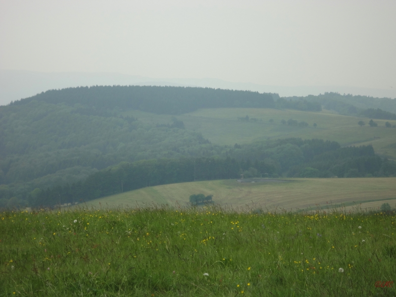 Rhoen_2012_083