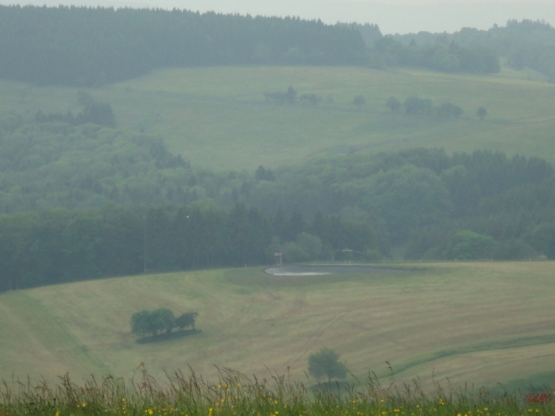 Rhoen_2012_086