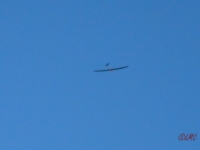Rhoen_2012_020
