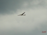 Rhoen_2012_032