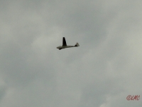 Rhoen_2012_033