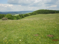 Rhoen_2012_043