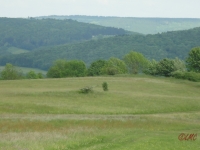 Rhoen_2012_059