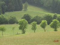 Rhoen_2012_060