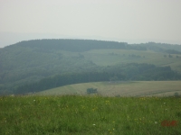 Rhoen_2012_083