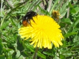 Rhoen_2012_013