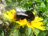 Rhoen_2012_014
