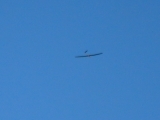 Rhoen_2012_020