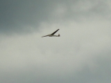 Rhoen_2012_032