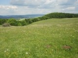 Rhoen_2012_043