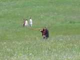 Rhoen_2012_049