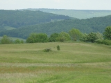 Rhoen_2012_059