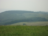 Rhoen_2012_083