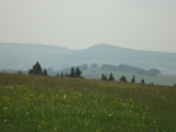 Rhoen_2012_084